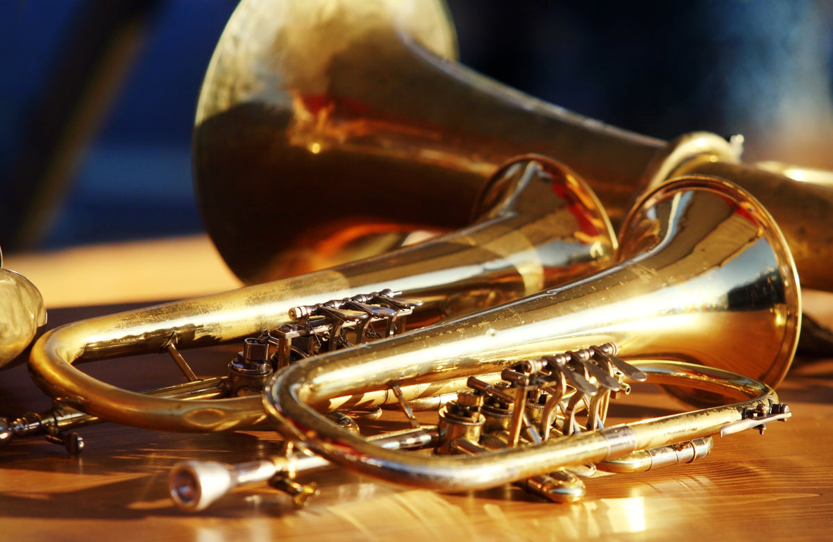 Tuba Musical Instruments Bass  Brass Instrument Accessories