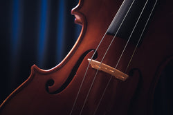 cello close-up