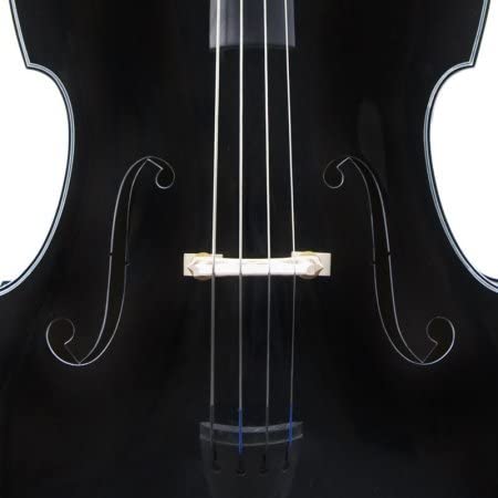 Cecilio electric online upright bass