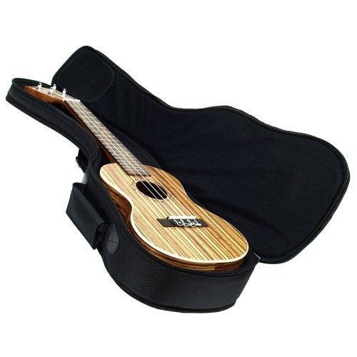 Heavy Duty Gig Bag (up to 24 with Padding,