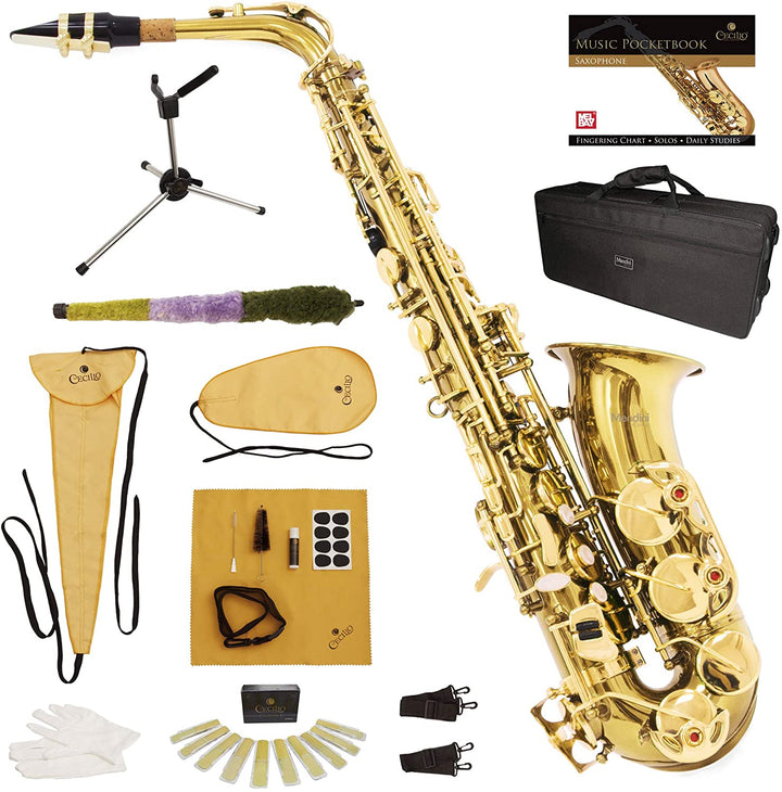 Mendini by Cecilio Gold-Lacquer E Flat Alto Saxophone
