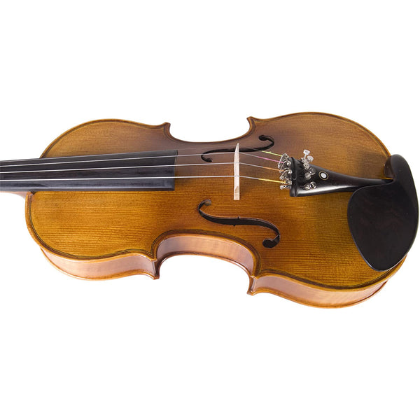 Cecilio CVN-500 Solid Wood Ebony Fitted Violin