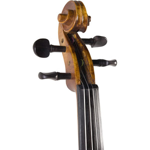 Cecilio CVN-500 Solid Wood Ebony Fitted Violin